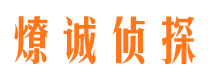 甘孜市调查公司